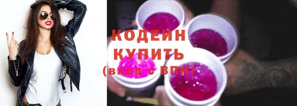 таблы Бородино