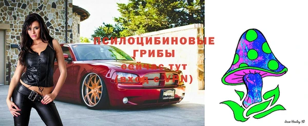 таблы Бородино