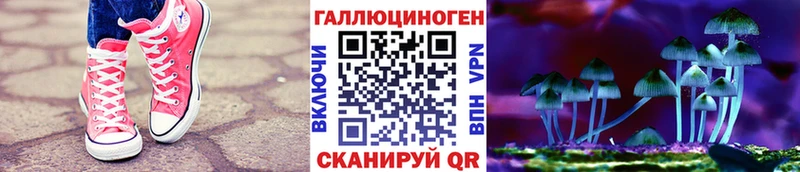 Галлюциногенные грибы ЛСД  где купить   Грайворон 