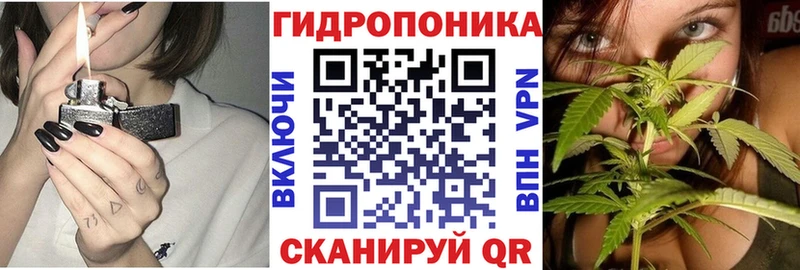 Бошки Шишки индика Грайворон